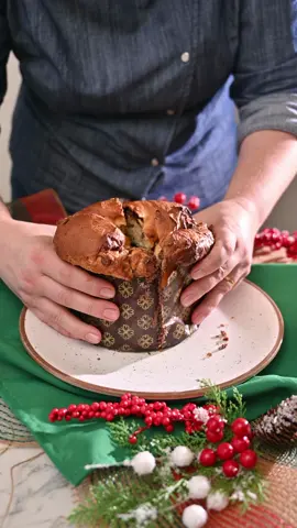 Chocotone Trufado Super Fácil 😱 Ingredientes: Esponja: 150 g de farinha de trigo 10 g de fermento biológico 200 ml de água Massa: 350 g de farinha de trigo 100 g de açúcar 1 colher de sopa de essência de panetone 3 gemas de ovo 100 g de margarina 300 g de gotas de chocolate Recheio: (Escolha o sabor de sua preferência) 1 copo de creme de avelã VaBene 1 copo de Nutella . . . . . . . . #chocotone #chocolate #confeitaria #ReceitaDeliciosa #ReceitaFácil #ReceitaDeFamília #receitasimples #panetonetrufado #doces #gratidao #deus #vencendoocancer #focoforcaefé #descomplicandonacozinha #cozinhatiktok 