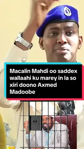 Macalin Mahdi oo saddex wallaahi ku marey in la so xiri doono Axmed Madoobe Sidee u aragtaa?