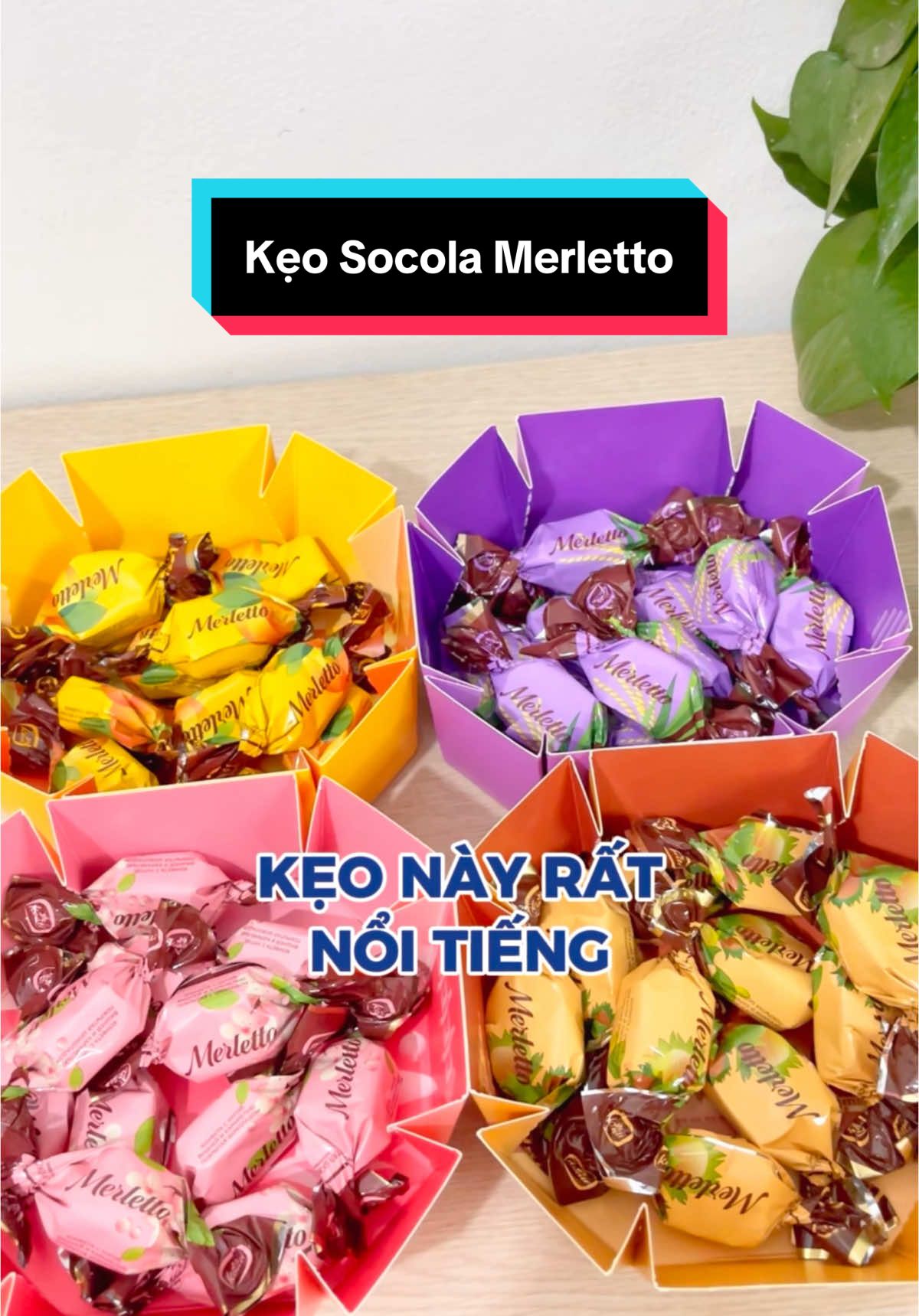 Kẹo Socola Merletto - Loại kẹo ngon, rất thích hợp để b.á.n Tết. Ai mở tạp hoá thì không thể bỏ lỡ dòng kẹo này nha! #Linka #Linkashop #Hangngasile #Linkahangngasile #Banhkeonhapkhau #Banhkeonga #Banhkeonhapkhau