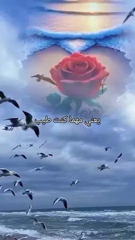 #CapCut #🇮🇹 #🏹 #👑 