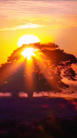 The warm sun rises slowly.#sunrise#Scenery #naturallandscapes 