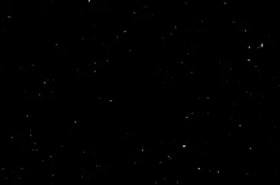 الحب كاس بيدور يا ناس🫀🫂.  #حالات_واتس #treanding #explore #تصميم_فيديوهات🎶🎤 #حالات_واتس2021 #الريش_في_ذمة_الله😞💔 #موزة_يانجم #عصام_صاصا #مسلم 