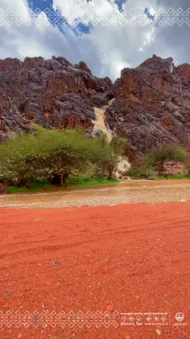 #حائل من أهم الوجهات في شتاء السعودية تؤكدها أجواءها وطبيعتها ليردد الكل مع نغمات صوت المطر : ياهلا يابعد حيي. #إمارة_منطقة_حائل