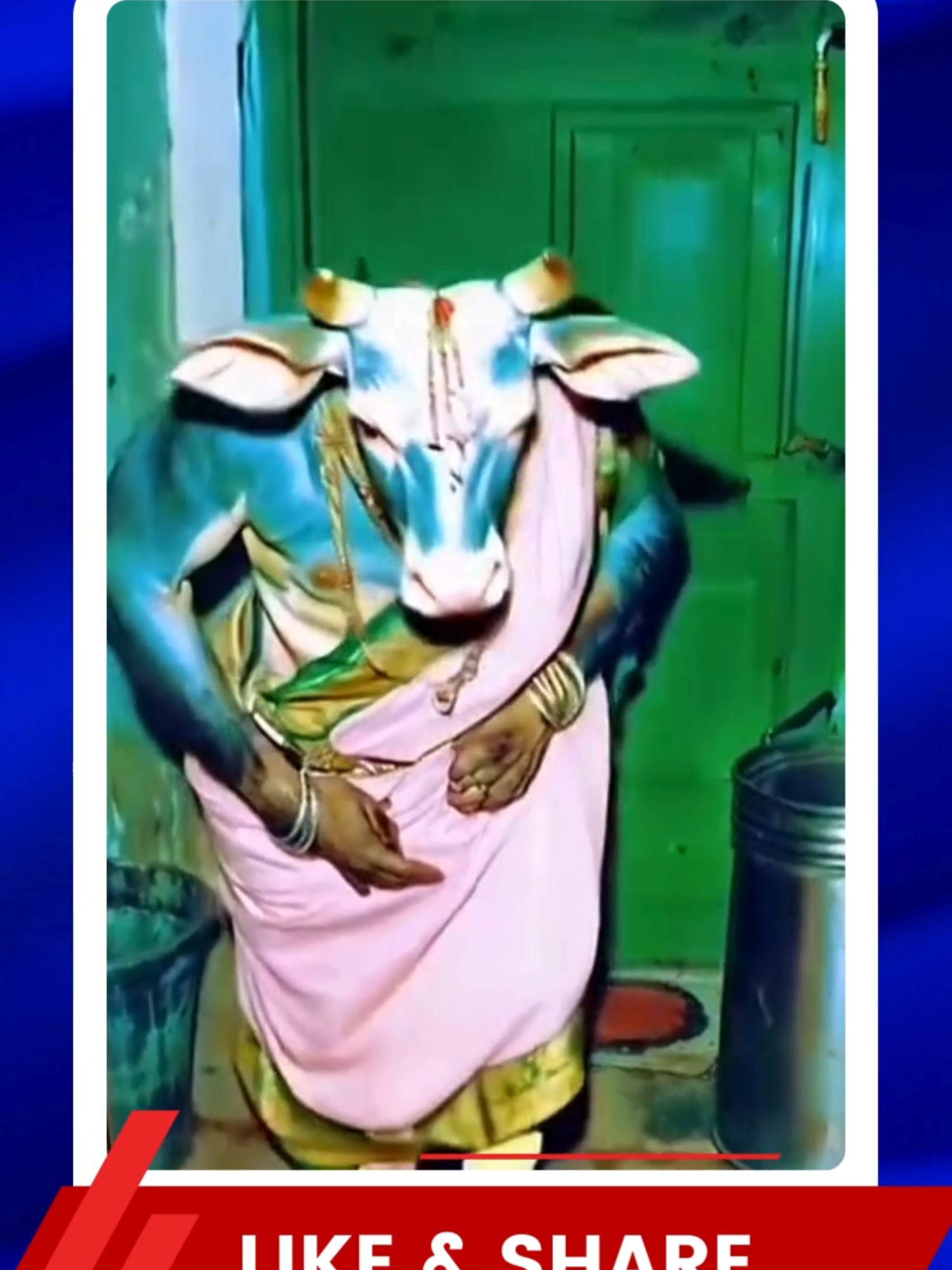 Kerbau Prindavan #wongganggur #news #fyp #beritaterkini #beritaterbaru #newsupdate #gosipartis #fypシ #fypシ゚viral #beritaviral #hotnews #breakingnews #beritaunik #kontenhiburan