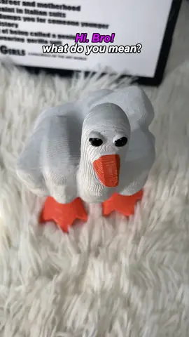 #fun #whiteelephant #funnygift #treasurefinds #tiktokmakemebuyit #spotlight 