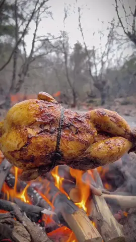 Grilled chicken in the original natural way 🪵🔥🥩🌲💦 #outdoorcooking #cookingasmr #leon #Recipe #cookingnature #camping #foodtiktok #cooking #grilledchicken 