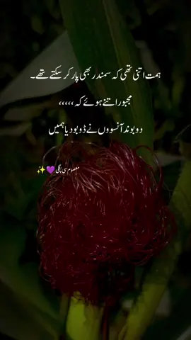 #muhabat #ishq #bewafa #poetry #respectmoment #viral #foryou 