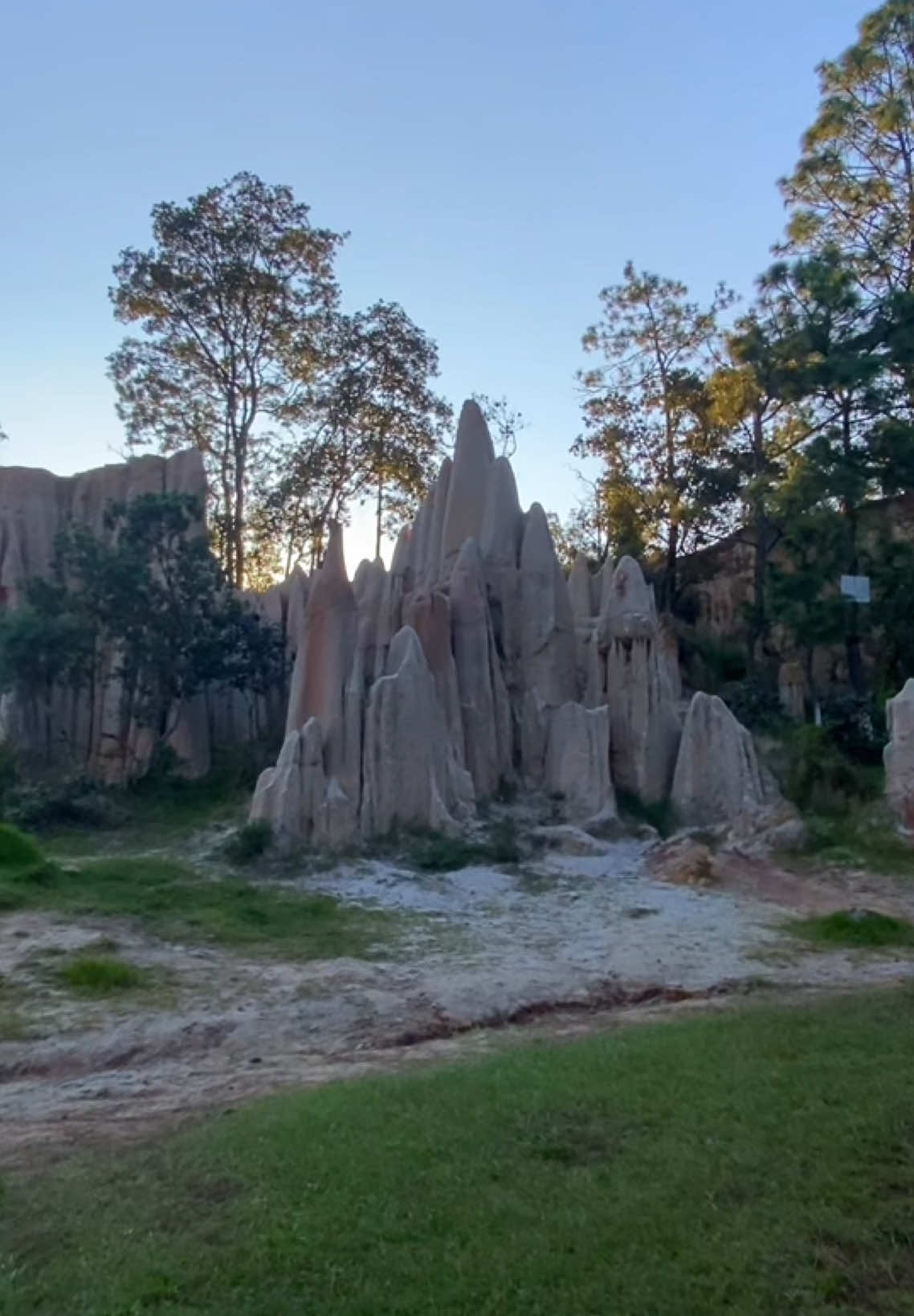 Los versos del poeta momosteco Humberto Ak'abal.