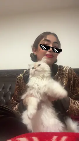 استني محدش بياكل زي ما باكلك😹🥰#حب_القطط #حيوانات_اليفه #تربية_الحيوانات #تربية_القطط #قطط_كيوت #wait_they_dont_loveyou_like_i_loveyou 