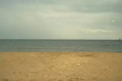 حضنك وطن . . . #اكسبلور #fyp #foryou #explore 