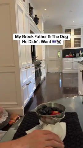 Blueberry Training🫐 Greek Style! #fyp #foryou #greek #thanksgiving #holiday #pugs #dog #pugsoftiktok #greektiktok #greektiktoker #family 