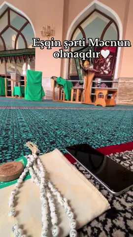 Biz qalmışıqsa deməli Məcnun deyilik🍃 #abutalibع #allah #ali 