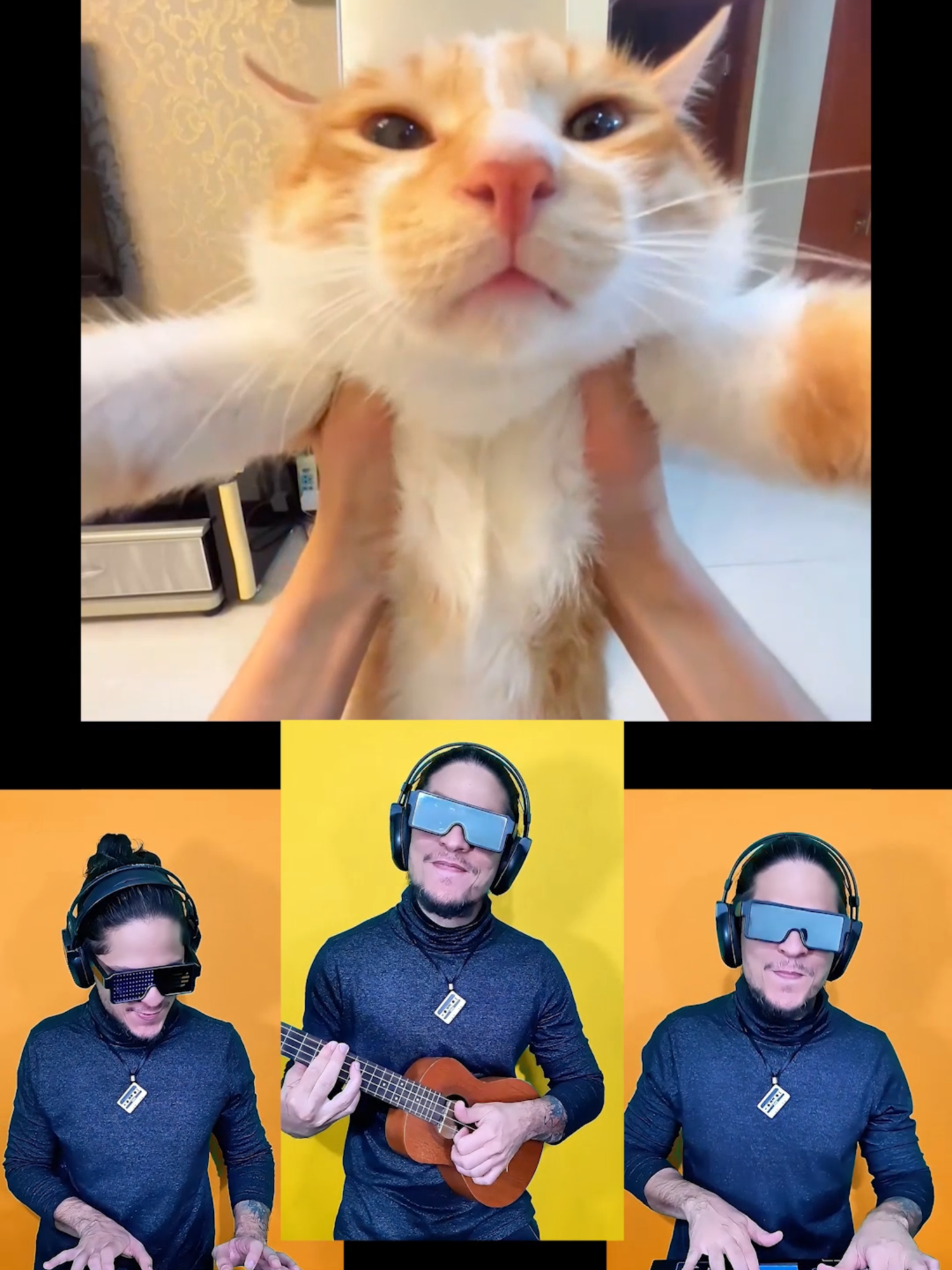 Cat Song - Cat Music  😻 #catsinger #cats #catsoftiktok #gatos #kitten #remix #atilakw
