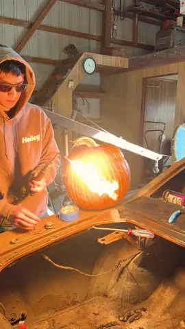 Cooked pumpkin anyone?? Happy Thanksgiving! #pumpkinspice #spicyfood #thanksgiving 