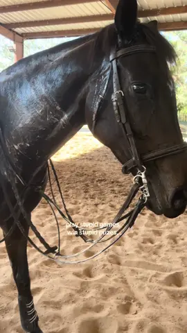 wet saddle pads, her necks so foamy because of the reins rubbing on her neck. MY HORSE IS FINE i just wanted to do the trend because she was sweaty #trend #playstupidgameswinstupidprizes #horse #horsetok #equestrian #wetsaddlepads #equestrianlife #equestrianstyle #fypp #horses #horseriders #ottb #mare #horserider #horsejumper #showjumper #horsetraining #equine #fypp #horsetrend 