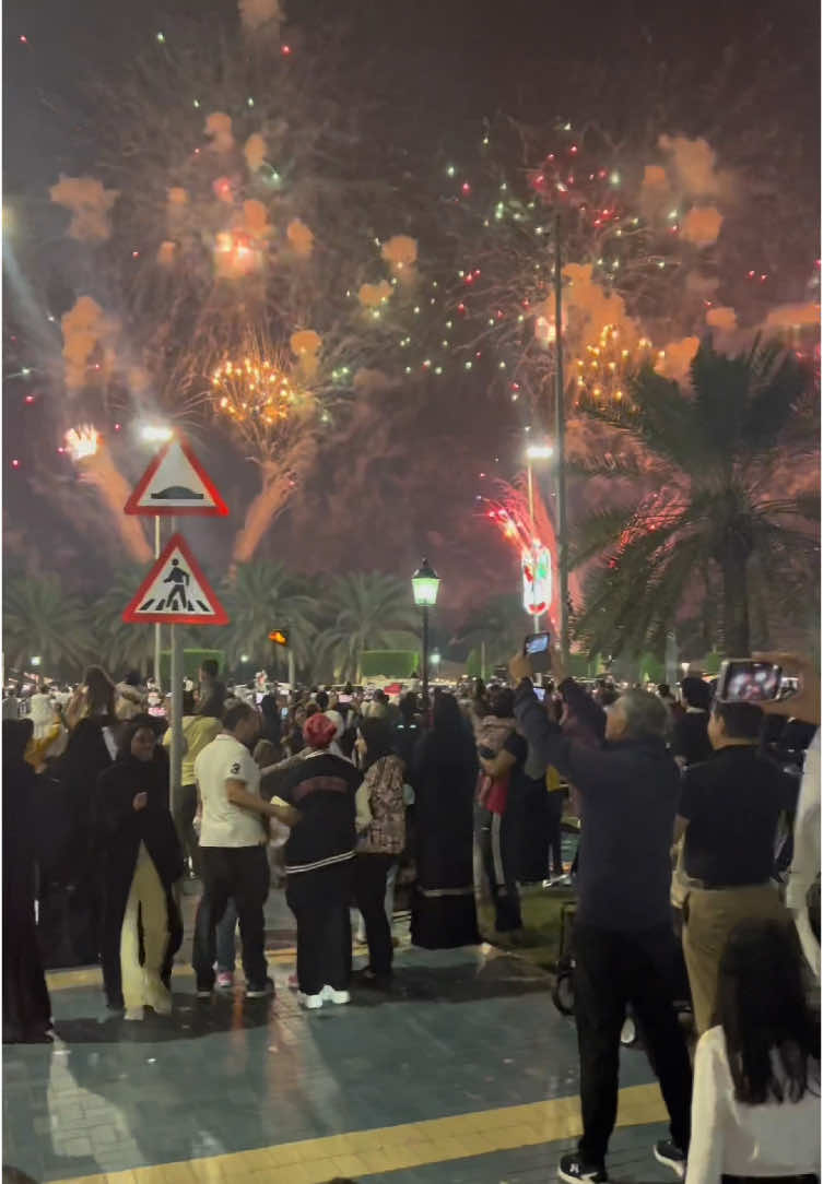 UAE NATIONAL DAY🇦🇪 #53uaenationladay #uae #fireworks #abudhabi #dubai #uaenationalday #celebration 
