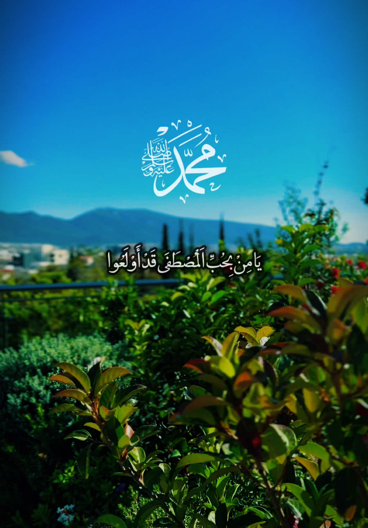 يا من بحب المصطفى قد أولعوا  ، زيدوا عليه من الصلاة وأكثروا  يكفيك فخراً يا محب محمدٍ  ،  أن المحب مع الحبيب سيحشرُ ♥️♥️ . صلوا عليه وسلموا تسليما ♥️ . . . . #ليلة_الجمعة #الجمعة #يوم_الجمعه #صلوا_على_رسول_الله #لا_اله_الا_الله #اللهم_صلي_على_نبينا_محمد #عليه_افضل_الصلاه_والسلام #اكسبلور #explore #مكة #islamic_video #مقاطع_دينية #سبحان_الله_وبحمده_سبحان_الله_العظيم #fyp #السعودية 