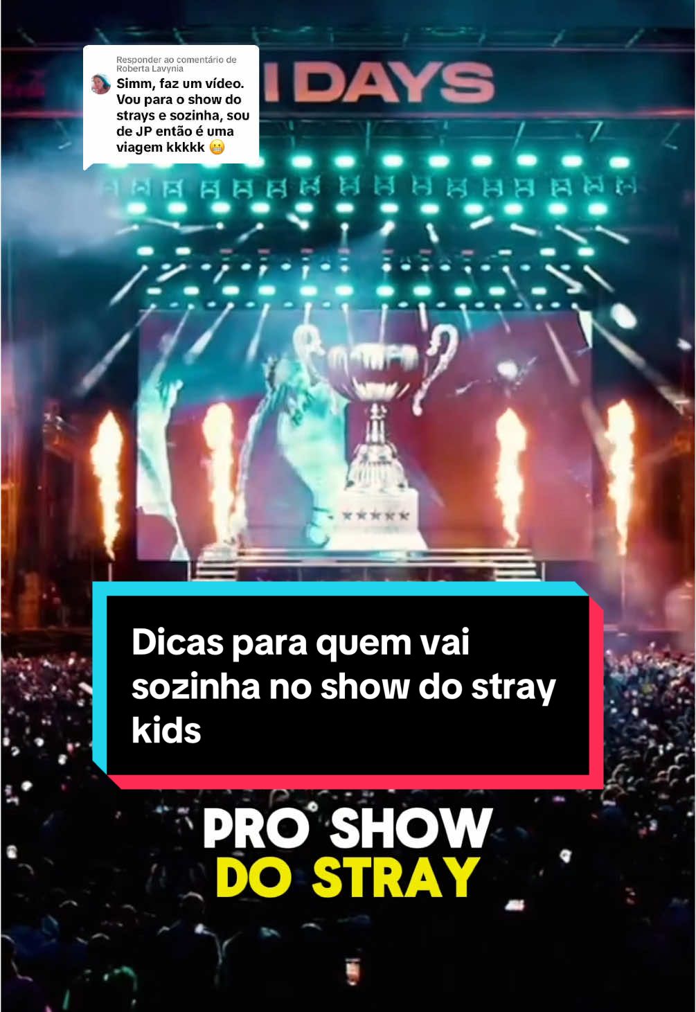Respondendo a @Roberta Lavynia dicas para as stays que vao para o show do Stray Kids sozinhas !!  Mesmo eu tendo indo no show do twice sozinha nao me arrependo pq foi uma das melhores experiências que tive 💖 #straykids #stays #kpop #twiceofnice #once #kpopers #shows #straykidsstay #tour 