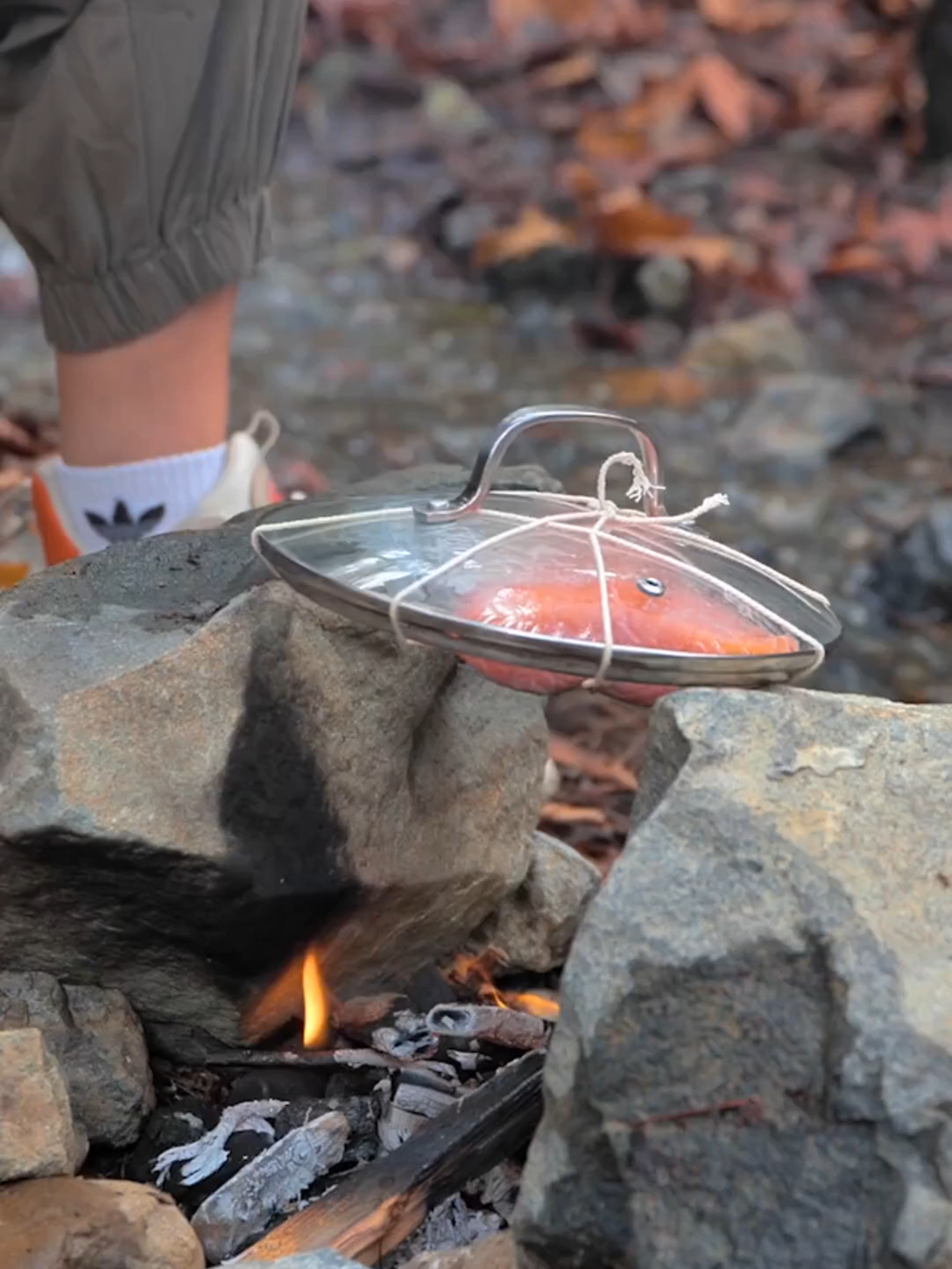 Survival hacks to conquer the wild while camping ⛺️ #wildlife #hacks #camping #Outdoors #fyp #adventure #nature