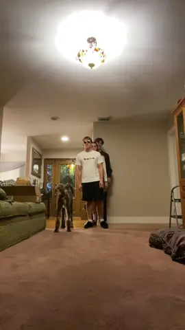 #bringdabbingback 