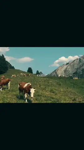 #CapCut thankful for so many things this year #monaco #universityofmonaco #livingabroad #travel #fyp 