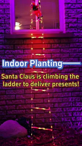 #christmasdecor #light #christmaslights #santaclaus #porchdecor #falldecor #ornaments #ladderlight #indoorlighting #outdoorlights #christmas 