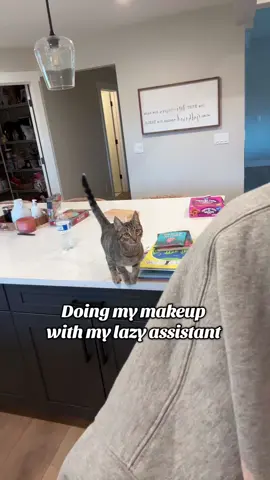 Pudding the cat was SUPPOSED to be assisting with my makeup, but ended up taking a nap instead 🙄 #makeup #grwm #cat #catsoftiktok #cattok #catlover #Eyeliner #jumpingcat #cutecat #velcrocat #bestfriend #Love #funnycat #sleepy #catlife #catmom 
