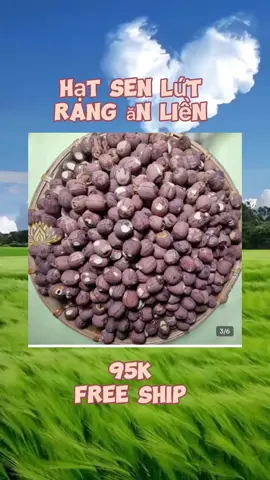 #xu_huong #bichngocshop #hạt sen lứt rang ăn liền #thucanvat #fypシ #biquyetxaykenh79 #xuhuong  @Bích Ngọc  @Bích Ngọc  @Bích Ngọc 