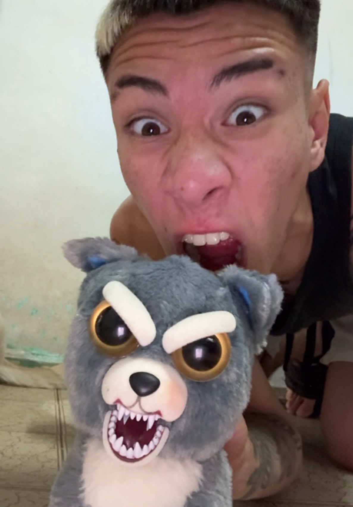 PELUCHE RABIOSO 🧸🐶 VS VIEJO 👴🏻 RABIOSO ❤️😂 • • • • • • • • • • • • • • • #perros #argentina #viral_video #perrostiktokers #viralvideo🔥 #EA #argentina🇦🇷 #paratiiiiiiiiiiiiiiiiiiiiiiiiiiiiiii #fyp #funny #jaja #jajaja #viralditiktok 