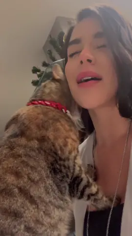Creo que a mi gatita le gusta como canto 😍💖  Siempre se acerca a mi cuando lo hago 🐾