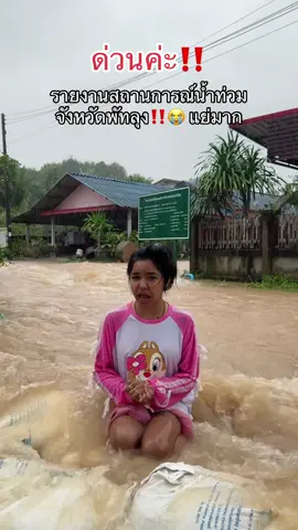 ด่วน‼️🥲 อัปเดต รายงานสถานการณ์น้ำท่วมจังหวัดพัทลุง‼️😭 แย่มาก #น้ำท่วม67 #น้ำท่วมภาคใต้ #ภาคใต้ #อะต๋อม #foryou 