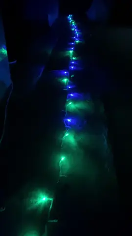 ไฟกระพริบ มี9สี กระพริบได้8จังหวะ ความยาว 10 เมตร เป็นปลั๊กเสียบใช้ไฟบ้าน ##ไฟกระพริบ##ไฟคริสต์มาส##ไปแต่งบ้าน##ไฟแต่งสวน##ไปเทศกาลปีใหม่##ไฟปีใหม่##ไฟแอลอีดี##ไฟแต่งห้อง##ไฟประดับห้อง##เทรนวันนี้