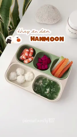 Từ ngày sắm khay ăn dặm mới của Hanmoon trvia Mia ăn bon hơn hẳn 🤭🤭🤭 #Mia🍼Family #mevabe #beyeu #conyeu #embedangyeu #hanmoon #khayandam 