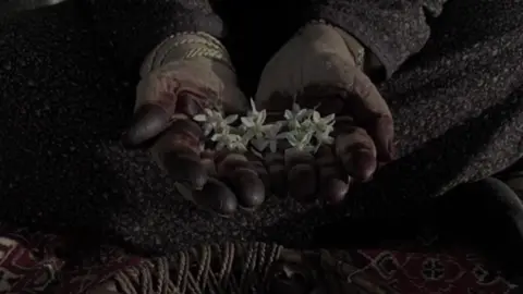 الحب للي عساني كلي فداها