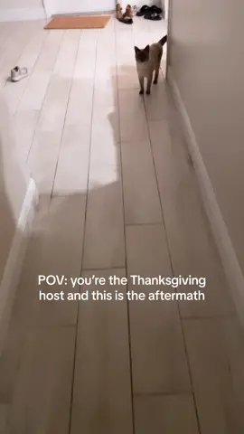 Cat said you’re on your own on this one #fyp #thanksgiving 