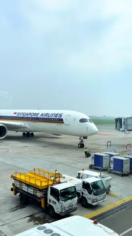 AIRBUS A350 - 900 Singapore Airlines🛩️  SQ922 SIN - SUB . #singaporeairline #aviation #aviasiindonesia #singapore #foryoupage❤️❤️ #fypage 