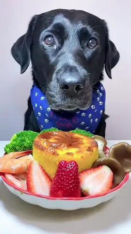 Dondoneatingsound #dog #dogeat #eating #fyp #foruyou #pet #animation #tiktok 