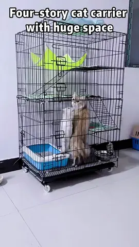 #catcage#catsoftiktok #largecatcage#cathouse #fyp #foryou 