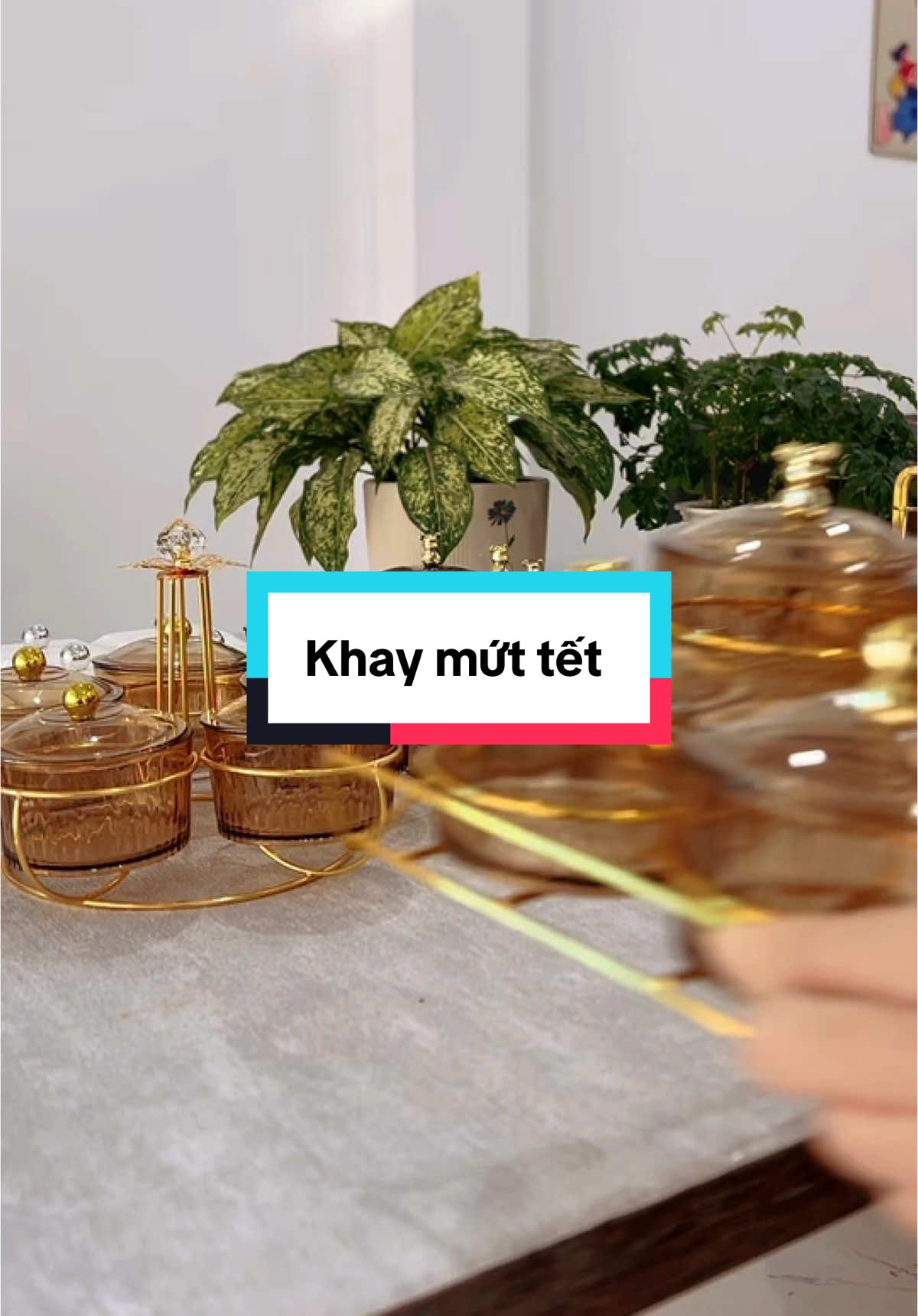 Khay mứt tết 2025 #xuhuong #khaymuttet #hiengiadung 