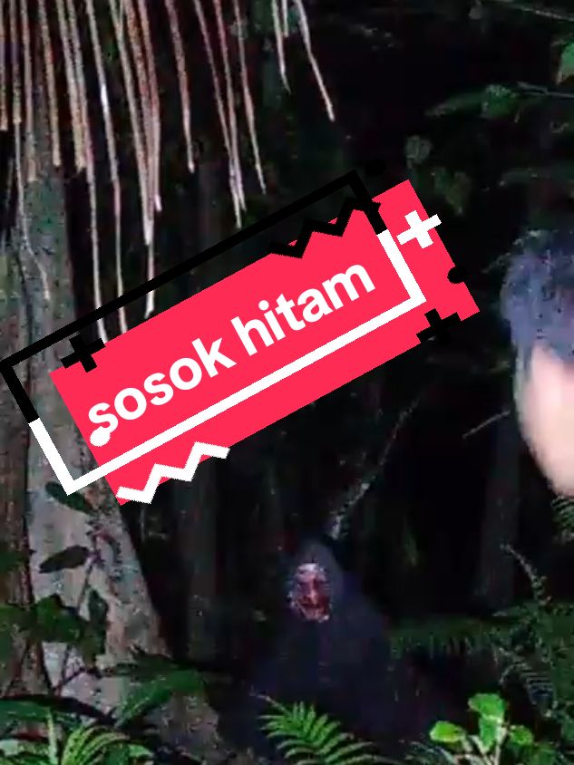 Korlap takut ketemu hohok hitam. #duniahororhumor #fyp #sorotan #pengikut #joinLive 