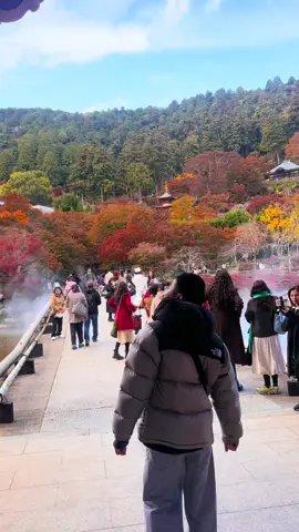 Ở Osaka 🍁 thì đây là địa điểm ngắm lá đỏ đẹp và nổi tiếng nhất nhé các bạn ( Chùa Katsuoji ) Không biết đi đâu thì ghé tới đây tham quan nha moik người  #xuhuong #Katsuoji #Osaka #dulichnhatban 