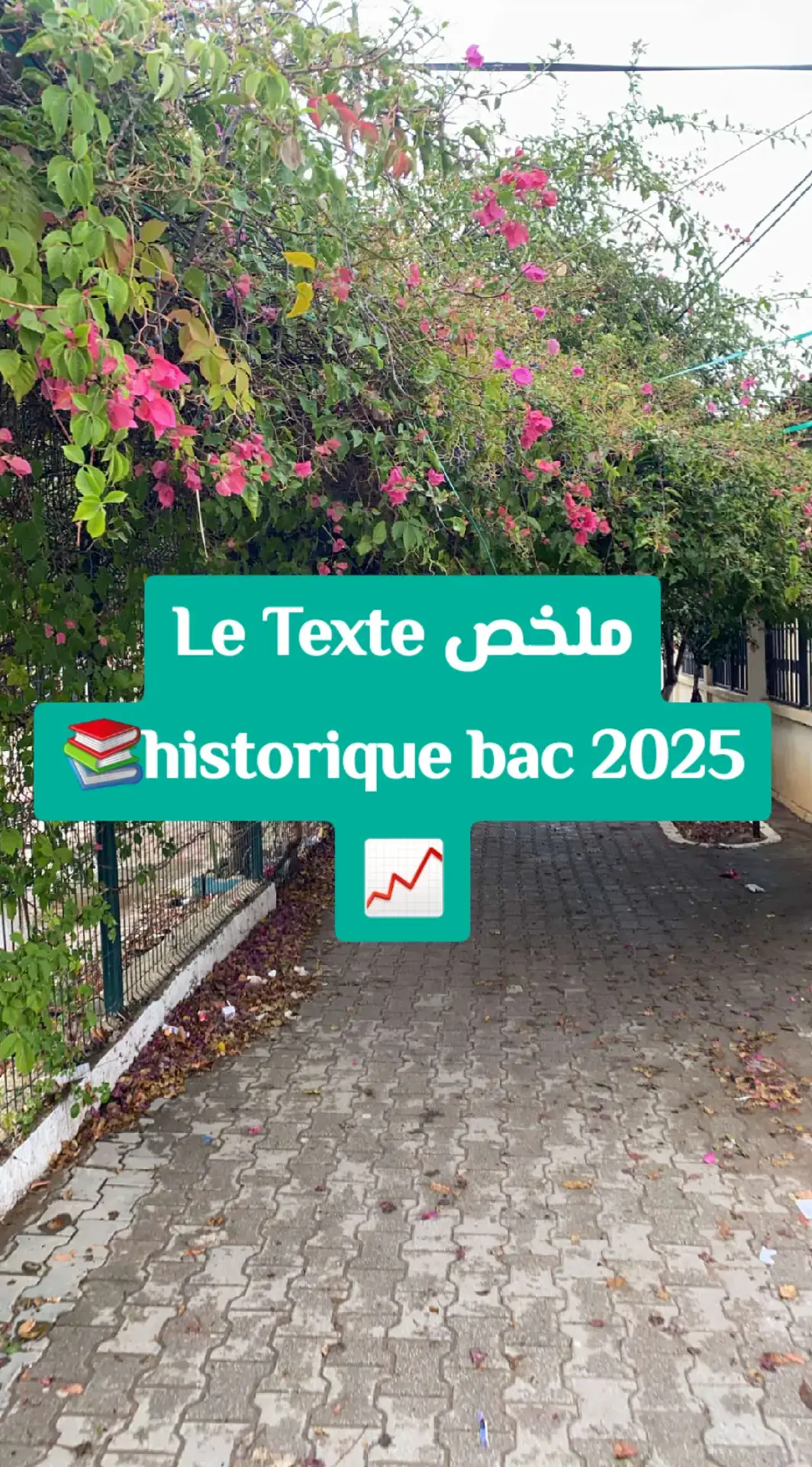 ناجحون بإذن الله #المغرب🇲🇦تونس🇹🇳الجزائر🇩🇿 #اكسبلورlove🌹❤️❤️❤️🌹 #الشعب_الصيني_ماله_حل😂😂🙋🏻‍♂️🇧🇭_ 