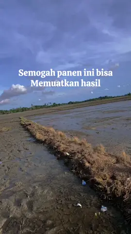 Amin#petanimuda #bismillah #anakpetani🌾 