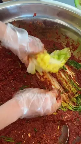 김치 사업을 했으면 대성 했을 우리엄니 #전라도음식 #배추김치 #김장 #김장김치 #다데기 #추천 #fypシ゚ 