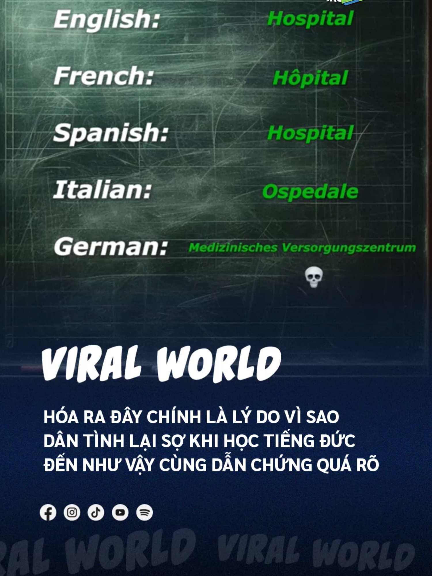 Dân học tiếng Đức vào xác nhận cái nào =))) #beatviralworld #beatnetwork #bnetwork #beatvn #beatoflife