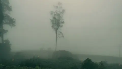 🌧🌿 #nuwaraeliya #srilanka #nature #srilankanature #foryoupage #fyp #trending#whatsappstatus #tiktok #rain #onemillionaudition 