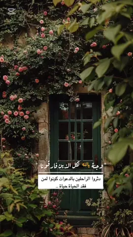 #اللهم اغفر وارحم من فقدناهم واجعل قبورهم في نور وفسحة واجمعنا بهم في الفردوس الأعلى من الجنة .. #اقتباسات_خواطر_عبارات #ميما🇸🇦  #اكسبلورexplore 