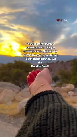 Buen día para todos, feliz viernes, bendiciones🧎‍♀️🙏🧡🧡🤍🤍