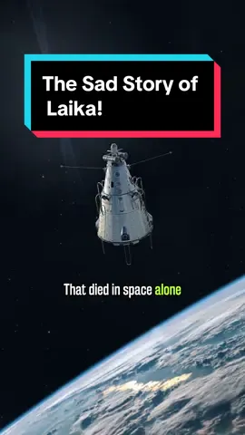 The Sad Story of Laika (The Space Dog) #universe #space #Science #Astronomy #facts 