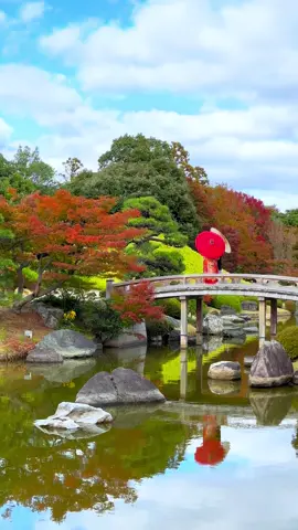 大阪　大仙公園 #癒し #japan #旅立ち #美しい風景 #風景写真を撮るのが好きな人と繋がりたい #大阪 